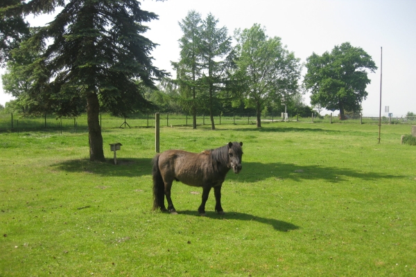 Hotel Waldperle